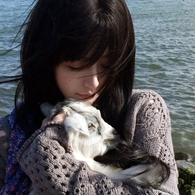 红楼艳史 海报